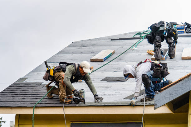 Professional Gutter Installation technician working in Bremen, GA